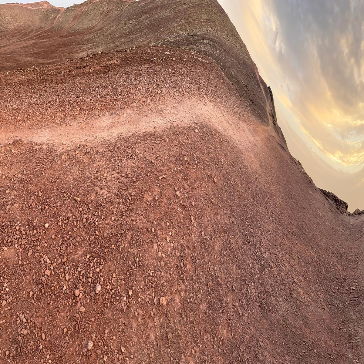 THE WARPING PANORAMAS